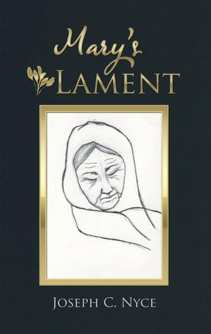 Cover of the book Mary’s Lament by JB Price
