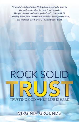 Cover of the book Rock Solid Trust by Pastor Denny Carr