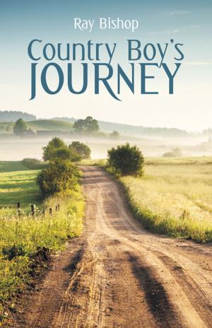 Cover of the book Country Boy's Journey by Winston E. Pike