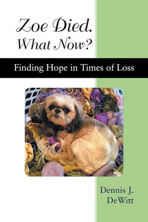 Cover of the book Zoe Died. What Now? by Carla Link, Joey Link