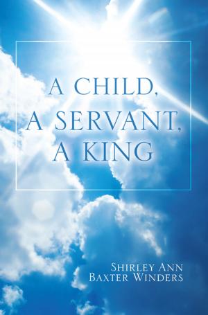 Cover of the book A Child, a Servant, a King by Kelvin Woodard