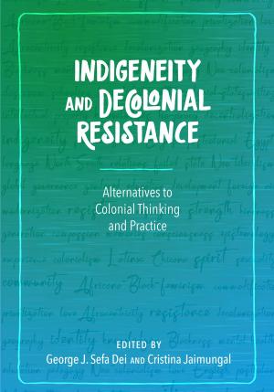 Cover of the book Indigeneity and Decolonial Resistance by Chris Anson, Patricia Webb Boyd, Andy Buchenot, Nick Carbone, Linda Di Desidero, H. Mark Ellis, Christopher Justice, Kristine Larsen, Liane Robertson