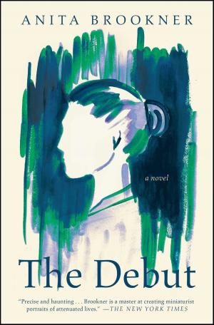 Cover of the book The Debut by Corey Mead
