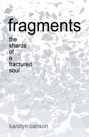 Cover of the book Fragments by Teri Karjala LPC LMFT