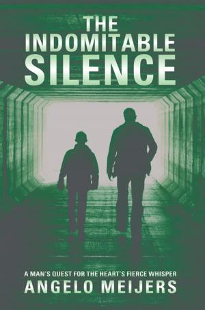Cover of the book The Indomitable Silence by D. L. Kline