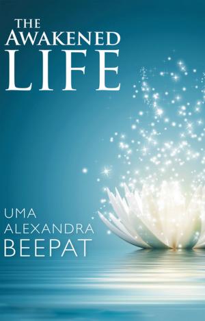 Cover of the book The Awakened Life by Shirley Hall Stoeff
