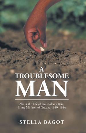 Cover of the book A Troublesome Man by Jessie Darlington