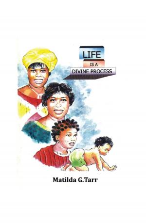 bigCover of the book Life Is a Divine Process by 