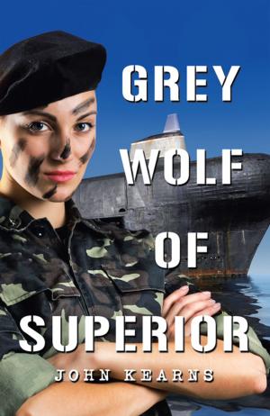 Cover of the book Grey Wolf of Superior by Tonya McLin, Tonya M. McLin