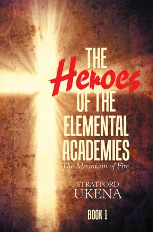 Cover of the book The Heroes of the Elemental Academies by Bruce Fraizer
