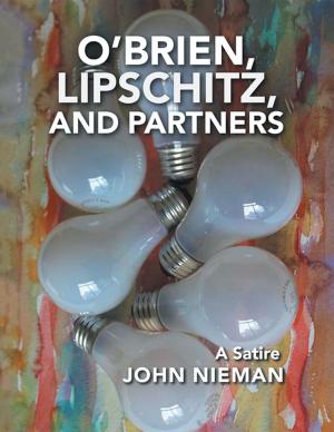 Cover of the book O’Brien, Lipschitz, and Partners by P.G. Simmons