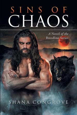 Cover of the book Sins of Chaos by Daniel Dickson Boateng