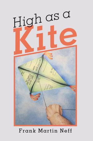 Cover of the book High as a Kite by Amanda Laureano