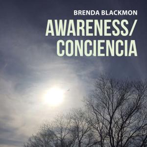 Cover of the book Awareness/Conciencia by Reginald Foakes