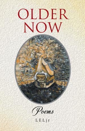 Cover of the book Older Now by James T. Arrow