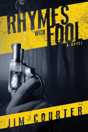 Cover of the book Rhymes with Fool by Daniel Hernandez