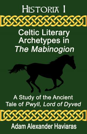 Cover of Celtic Literary Archetypes in The Mabinogion