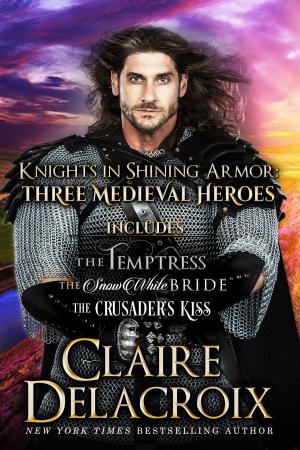 Cover of the book Knights in Shining Armor by Claire Delacroix