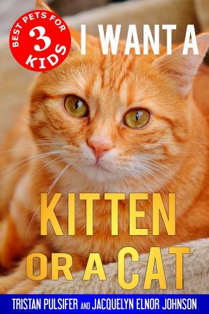 Cover of I Want A Kitten or a Cat