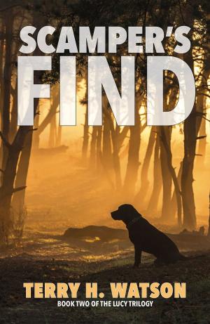 Cover of the book Scamper's Find by Steven S Walsky