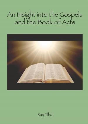 Cover of An Insight into the Gospels and the Book of Acts