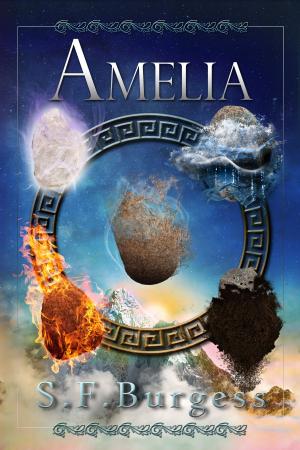 Cover of the book Amelia (The Books of the Five Book 3) by David S Croxford