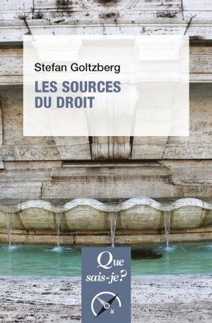 Book cover of Les sources du droit