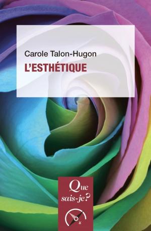 bigCover of the book L'esthétique by 