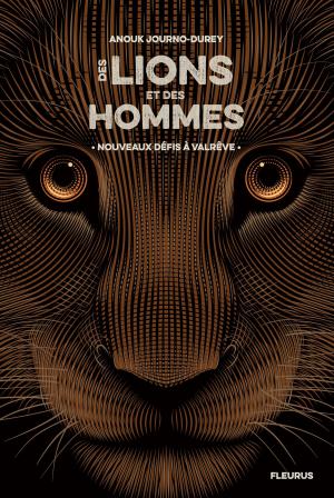 Cover of the book Nouveaux défis à Valrêve by Christine Hooghe