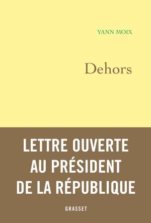 Cover of the book Dehors by Michel Schneider