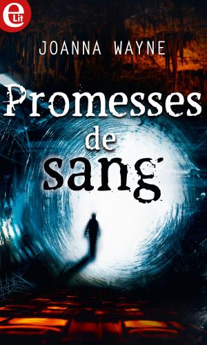 Book cover of Promesse de sang