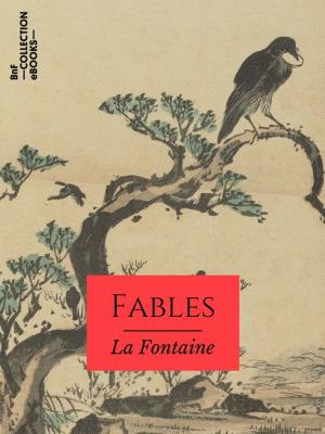 Cover of the book Les Fables by Arthur Schopenhauer