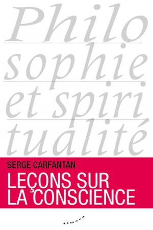 Book cover of Leçons sur la conscience