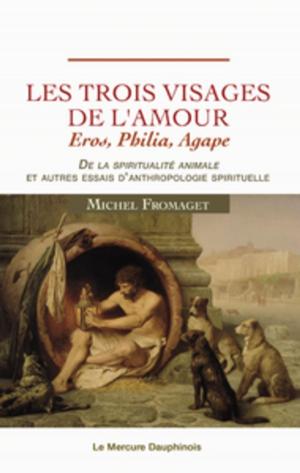 Cover of the book Les trois visages de l'amour by Erik Sablé