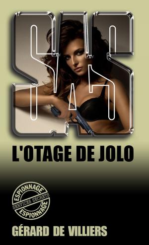 Cover of the book SAS 141 L'otage de Jolo by Émile Gaboriau
