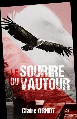 Book cover of Le Sourire du Vautour