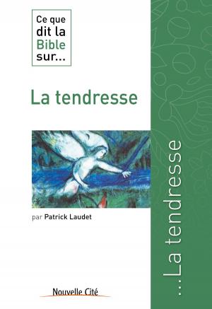 Cover of the book Ce que dit la Bible sur la Tendresse by André Ravier