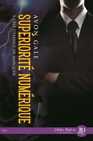 Cover of the book Supériorité numérique by Vincent Morrone