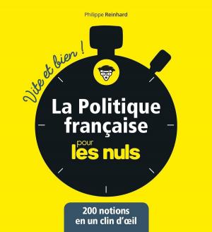 Cover of the book La politique pour les Nuls - Vite et Bien by Birgit DAHL, Dorian NIETO