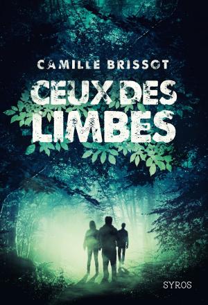 Cover of the book Ceux des limbes by Nick Shadow, Shaun Hutson