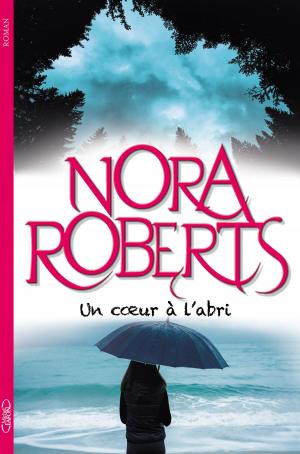 Cover of the book Un coeur à l'abri by Olivier Norek