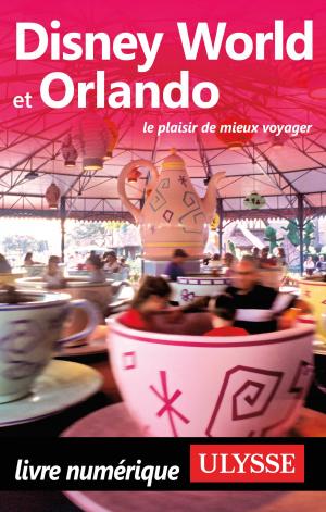 Cover of the book Disney World et Orlando by Yves Séguin