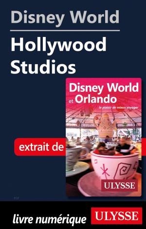Book cover of Disney World - Hollywood Studios