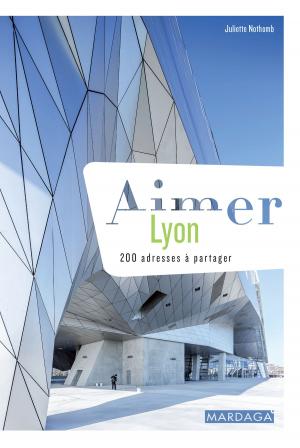Cover of the book Aimer Lyon by Derek Blyth