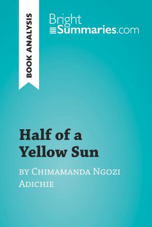 Cover of the book Half of a Yellow Sun by Chimamanda Ngozi Adichie (Book Analysis) by Bright Summaries