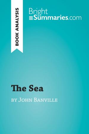 Cover of the book The Sea by John Banville (Book Analysis) by Sibylle Berg, György Dalos, J. Sydney Jones, Mitsuyo Kakuta, Radek Knapp, Nicola Lecca, Eva Menasse