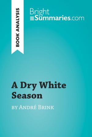 Cover of A Dry White Season by André Brink (Book Analysis)