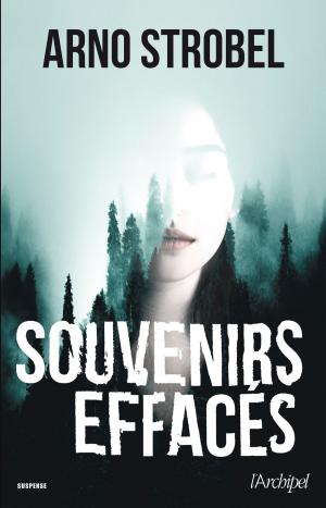 Cover of the book Souvenirs effacés by Jean-Claude Liaudet