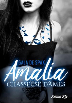 Cover of the book Amalia, chasseuse d'âmes by Larissa Ione