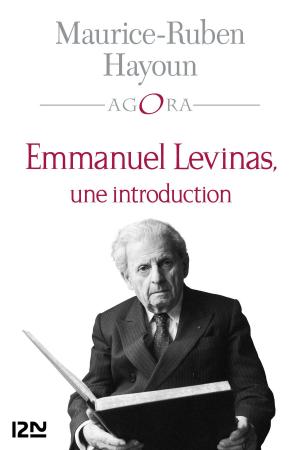 Cover of the book Emmanuel Levinas, une introduction by Christophe LAMBERT
